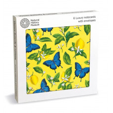 M&G - Ulysses Butterfly Lux Sq Notecard Wallet 6 Pkt