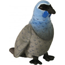 NZ Bird Small Soft Toy - Kokako