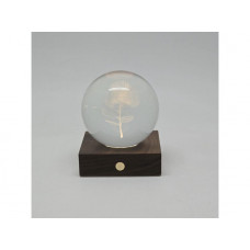 Gingko - Pohutukawa - 3D Laser Engraved LED Light