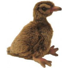 NZ Bird Small Soft Toy - Weka