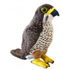 NZ Bird Sound Large Soft Toy - NZ Falcon Puppet