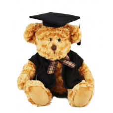Graduation Kiwi Soft Toy