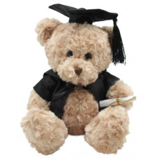 Graduation Bear (77563)