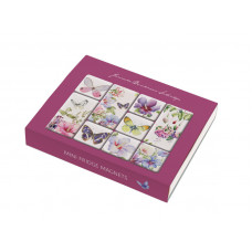 Magnet Box Hibiscus