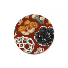 Wolfkamp & Stone- NZ Fungi Phellodon Coaster