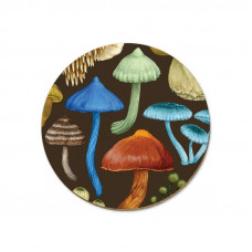 Wolfkamp & Stone - NZ Fungi Entoloma - Coaster