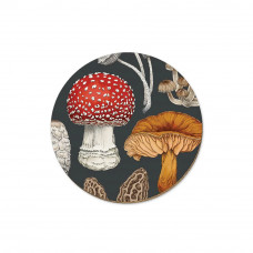 Wolfkamp & Stone - NZ Fungi Morchella - Coaster