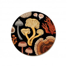 Wolfkamp & Stone - NZ Fungi Bolete - Coaster