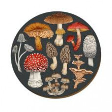Wolfkamp & Stone - NZ Fungi Morchella - Placemat