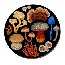 Wolfkamp & Stone - NZ Fungi Bolete - Placemat