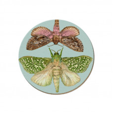 Wolfkamp & Stone - NZ Moths - Coaster