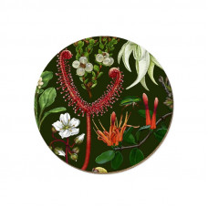 Wolfkamp & Stone - NZ Plants - Coaster