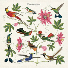 Cavallini & Co - Hummingbird Set of 4 Cloth Napkins