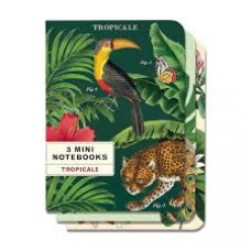 Cavallini & Co - Tropicale 3 Mini Notebooks