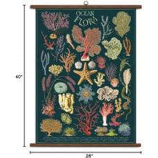 Cavallini & Co - Ocean Flora Vintage School Chart