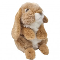 Nibbles Bunny Brown