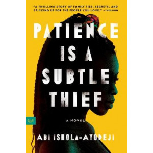 Patience Is a Subtle Thief: A Novel