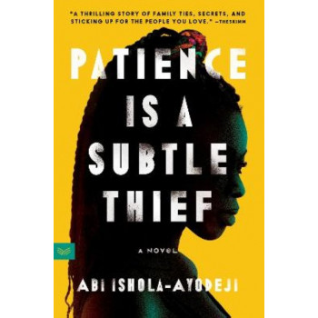 Patience Is a Subtle Thief: A Novel