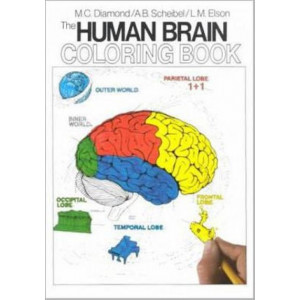 The Human Brain Coloring Book: A Coloring Book