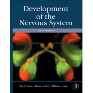 Development of the Nervous System 3E
