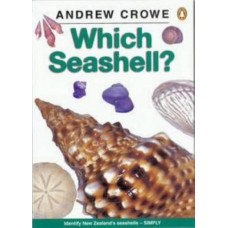 Which New Zealand Seashell?