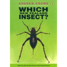 Which New Zealand Insect?