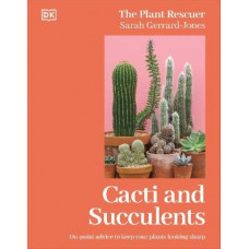 Cacti and Succulents: On-point Advice to Keep Your Plants Looking Sharp
