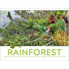 Rainforest