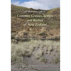 An Illustrated Guide to Common Grasses, Sedges and Rushes of New Zealand