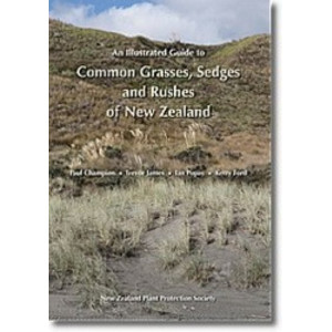 Illustrated Guide to Common Grasses, Sedges & Rushes of NZ