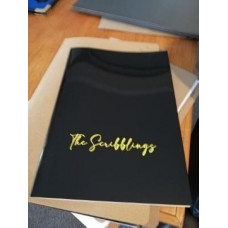 The Scribblings: How I stayed sane