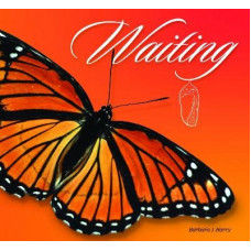 Waiting: Soul Transformation