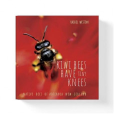 Kiwi Bees Have Tiny Knees
