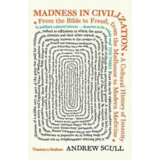 Madness in Civilization: A Cultural History of Insanity from the Bible to Freud, from the Madhouse to Modern Medicine