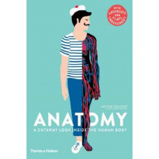 Anatomy: A Cutaway Look Inside the Human Body