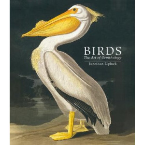 Birds: The Art of Ornithology (Pocket edition)
