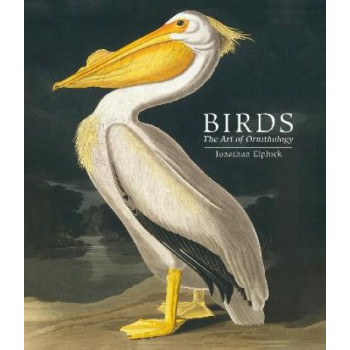 Birds: The Art of Ornithology (Pocket edition)
