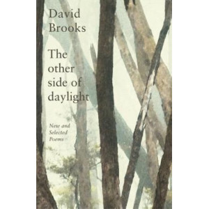 The Other Side of Daylight: New and Selected Poems