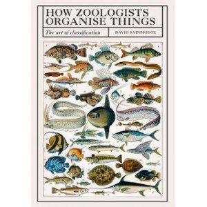 How Zoologists Organize Things: The Art of Classification
