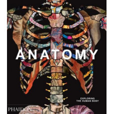Anatomy: Exploring the Human Body