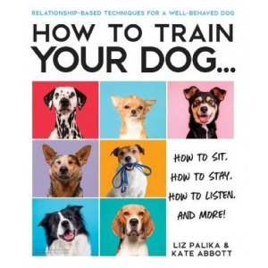 How to Train Your Dog:  Relationship-Based Approach for a Well-Behaved Dog