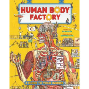 The Human Body Factory: A Guide To Your Insides