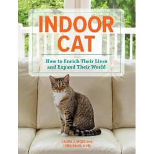 Indoor Cat: How to Enrich their Lives and Expand their World