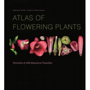 Atlas of Flowering Plants: Visual Studies of 200 Deconstructed Botanical Families