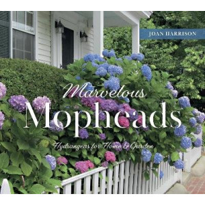 MARVELOUS MOPHEADS