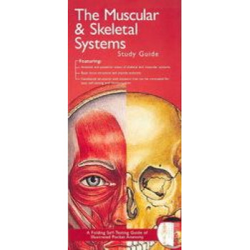 Muscular & Skeletal Systems Study Guide 2E - Illustrated Pocket Anatomy Series
