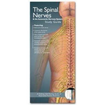Spinal Nerves & the Autonomic Nervous System Study Guide 2E - Illustrated Pocket Anatomy Series