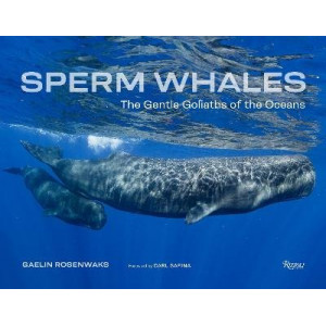 Sperm Whales: The Gentle Goliaths of the Ocean