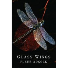 Glass Wings