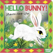 Hello Bunny!: An Easter mirror search-and-find book
